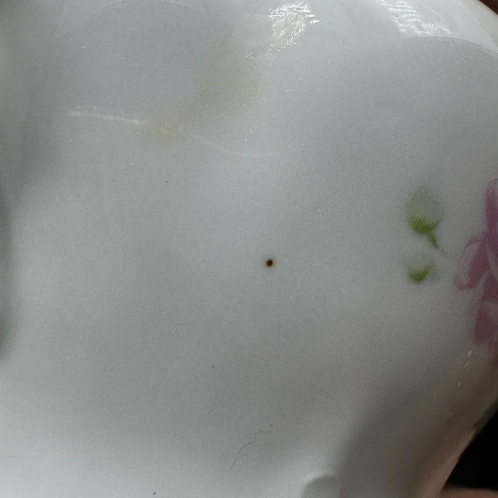 VINTAGE MADE IN ZGERMAN FLORAL LIDDED CANDY DISH